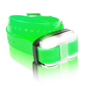 Dogtra Edge Additional Dog Training Collar - Green